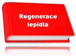 Regenerace lepidla