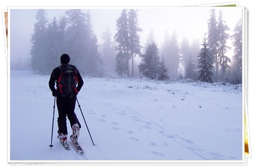 Lyže WEX Wood Rodeo 99 - skialp